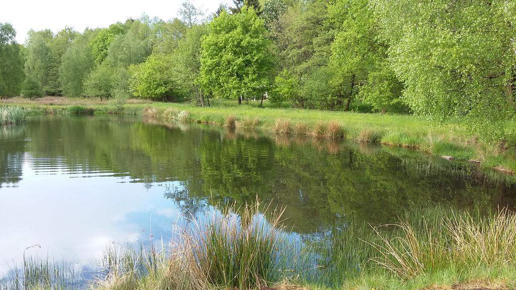 Gastezimmer - Campingplatz Am Muhlenbach Soltau Zewnętrze zdjęcie